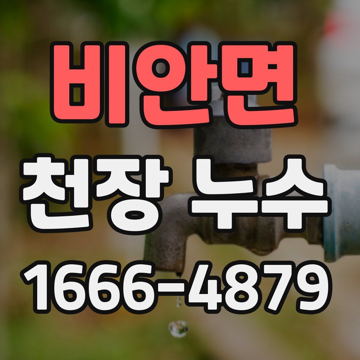 비안면 천장 누수