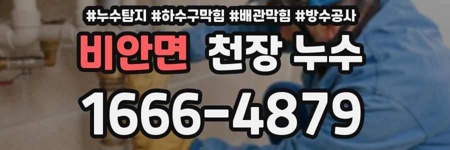 비안면 천장 누수