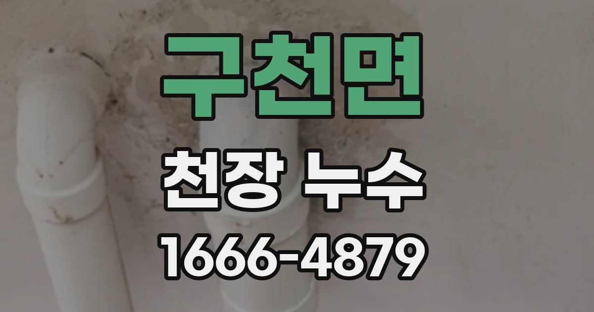 구천면 천장 누수