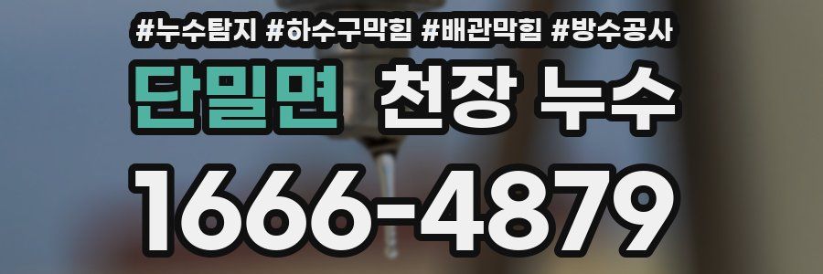 단밀면 천장 누수