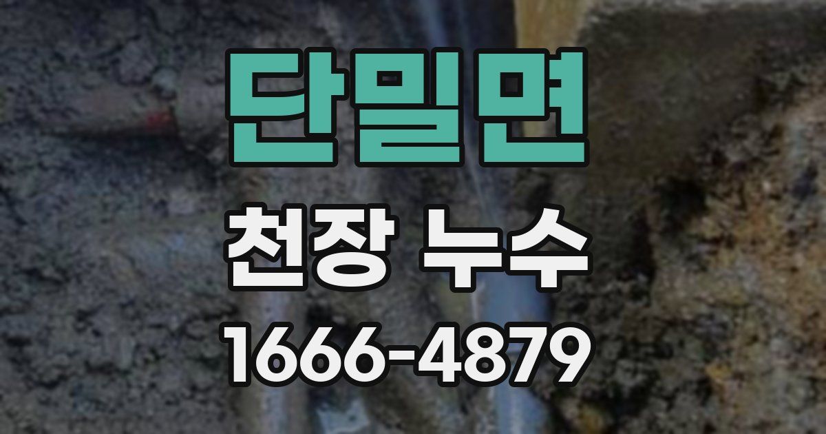 단밀면 천장 누수