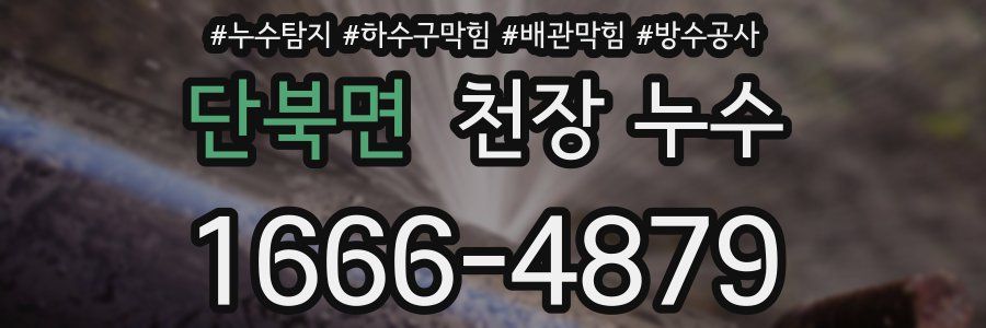 단북면 천장 누수