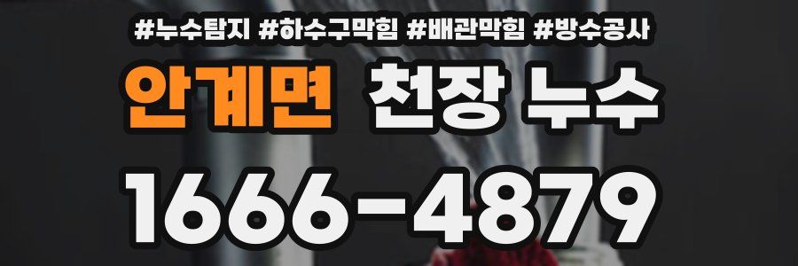 안계면 천장 누수