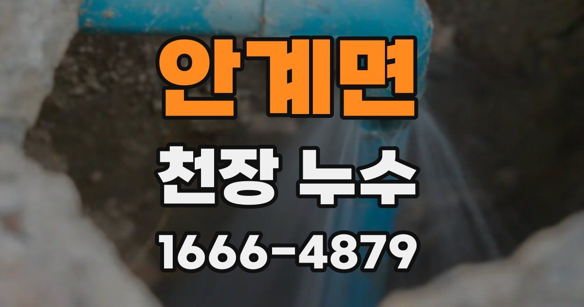 안계면 천장 누수