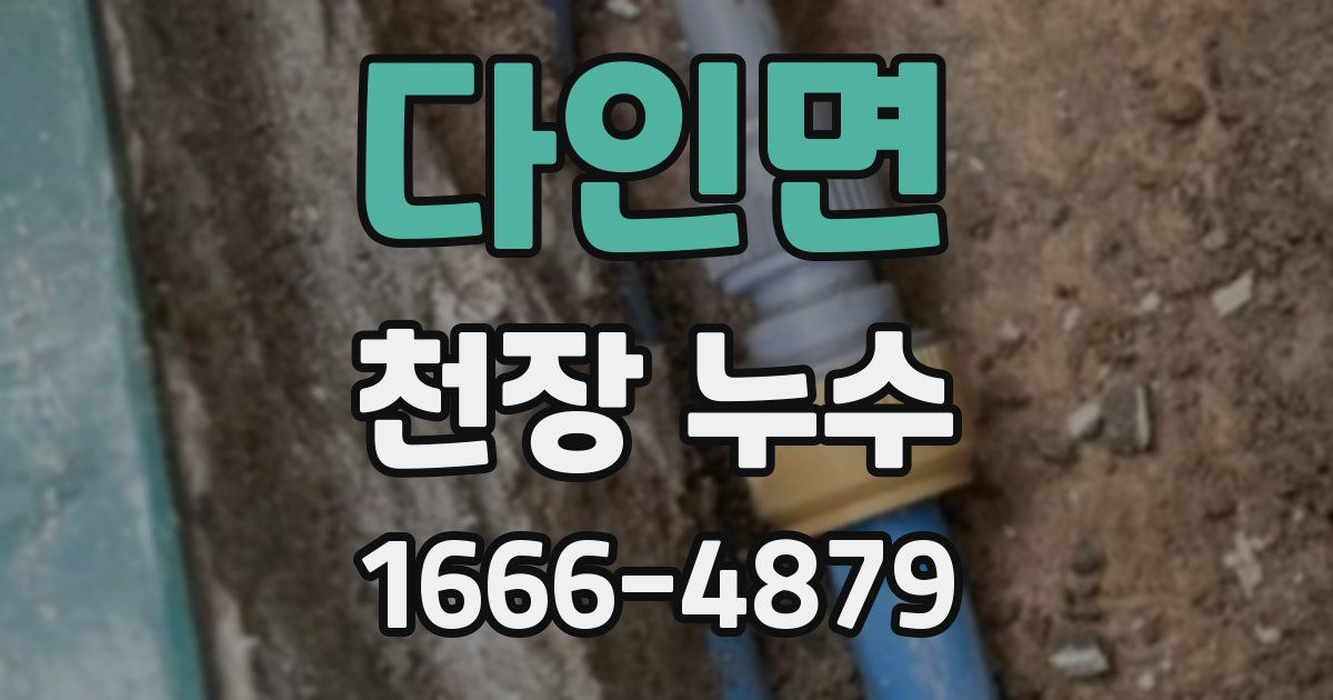 다인면 천장 누수