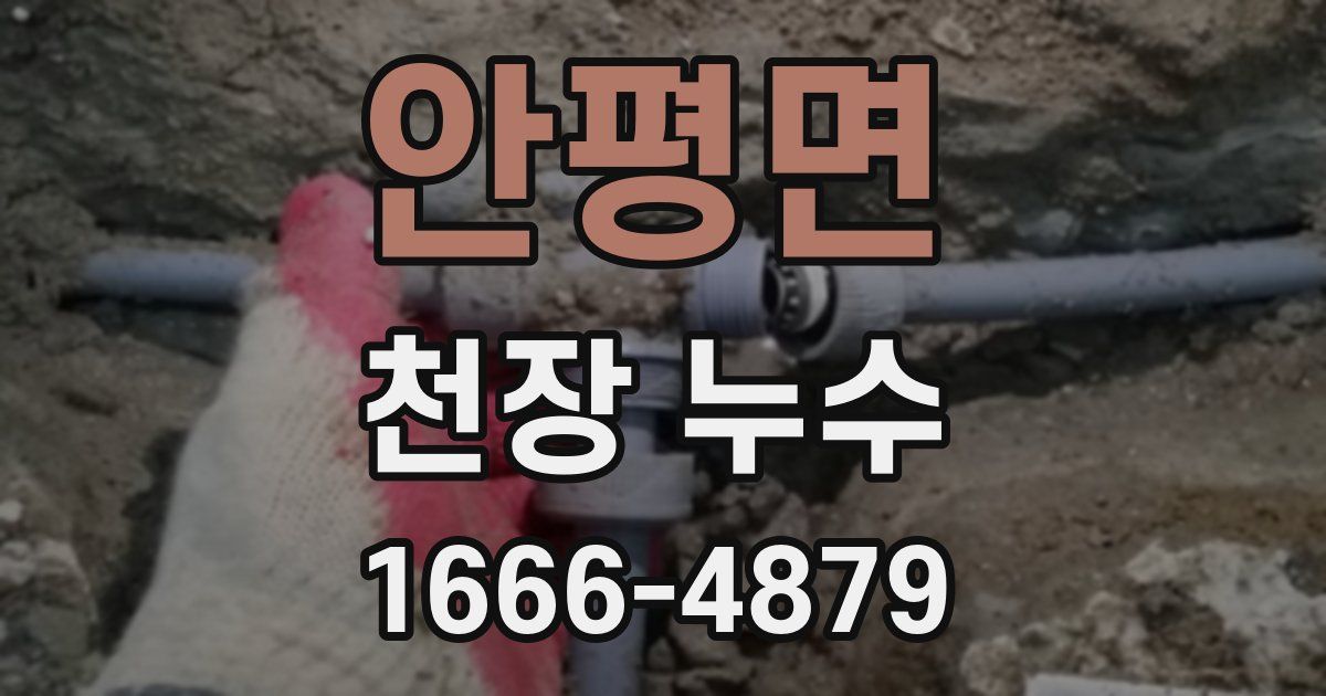 안평면 천장 누수