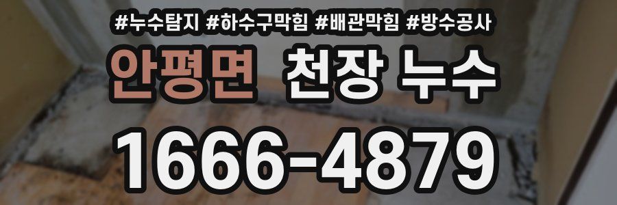 안평면 천장 누수