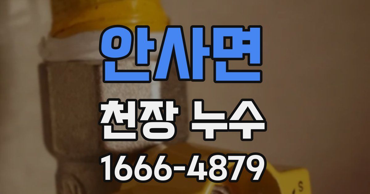 안사면 천장 누수