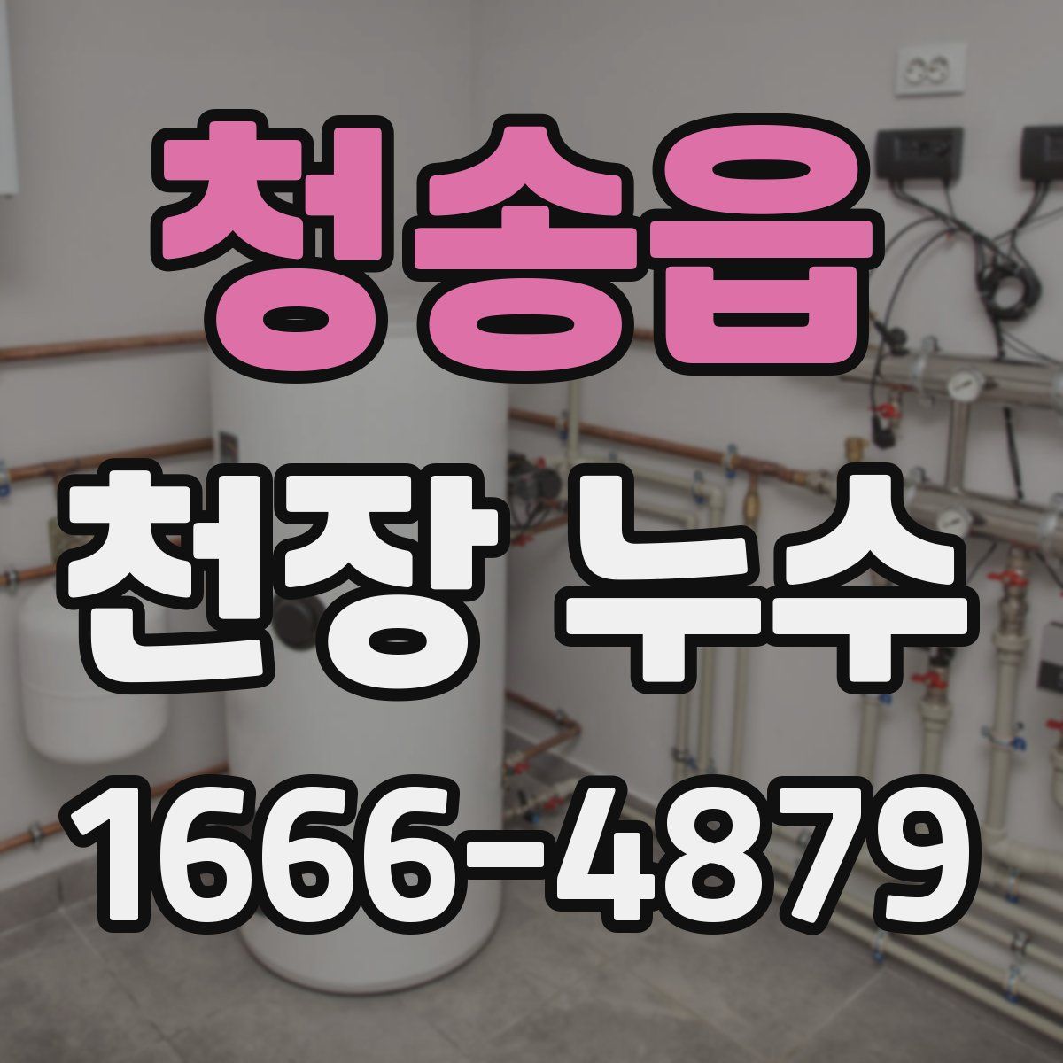 청송읍 천장 누수