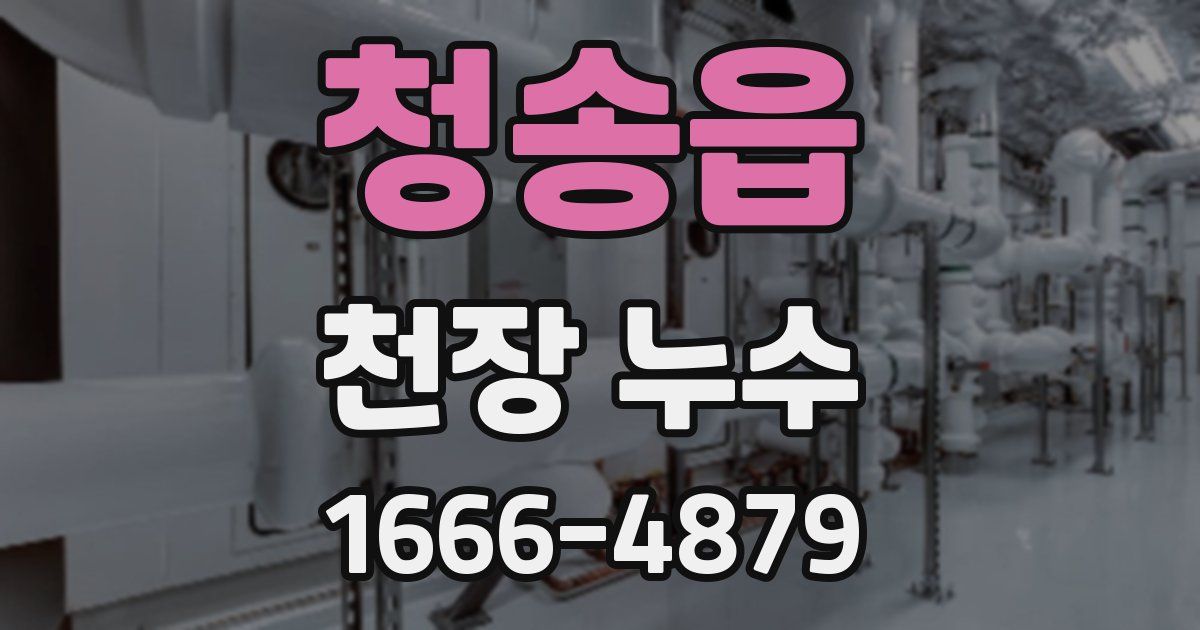 청송읍 천장 누수