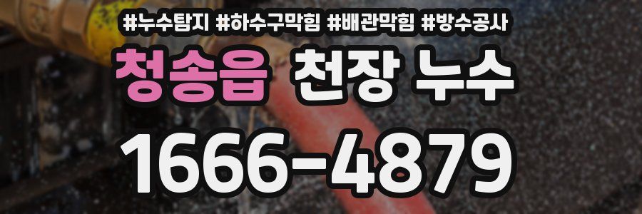 청송읍 천장 누수