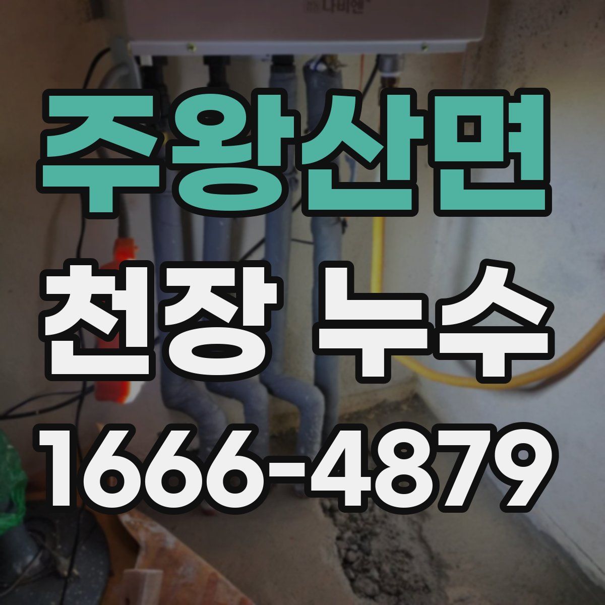 주왕산면 천장 누수