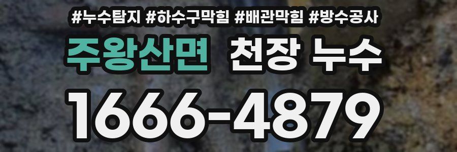 주왕산면 천장 누수