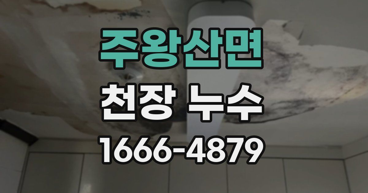 주왕산면 천장 누수