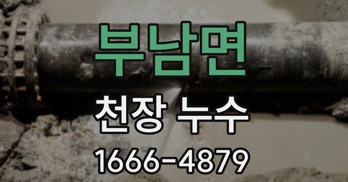 부남면 천장 누수