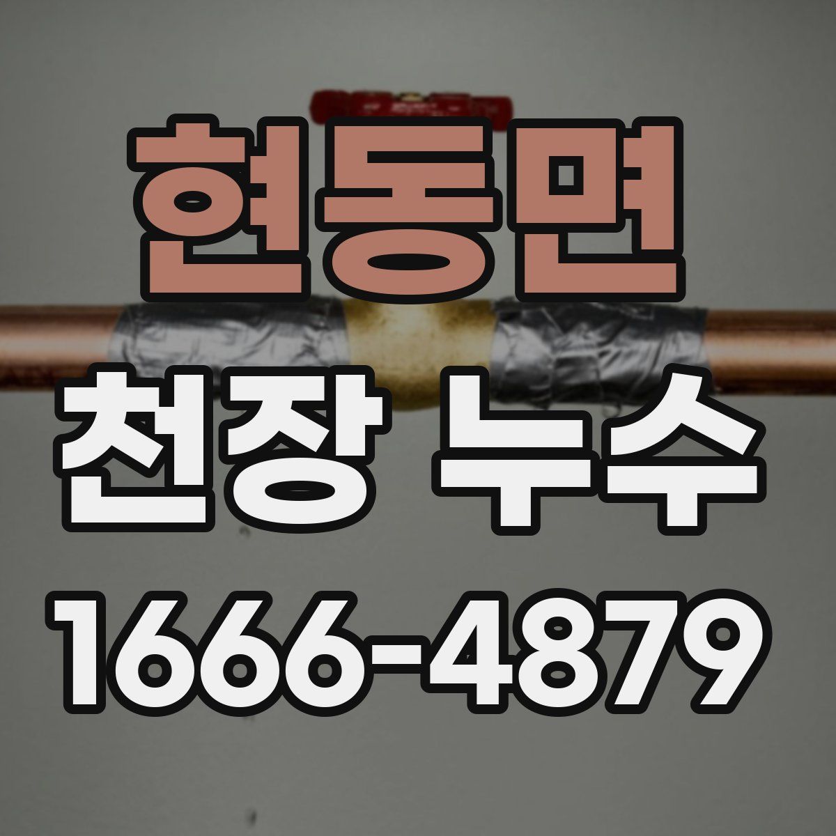 현동면 천장 누수