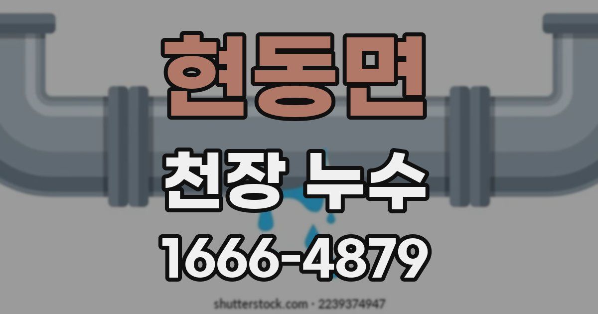 현동면 천장 누수