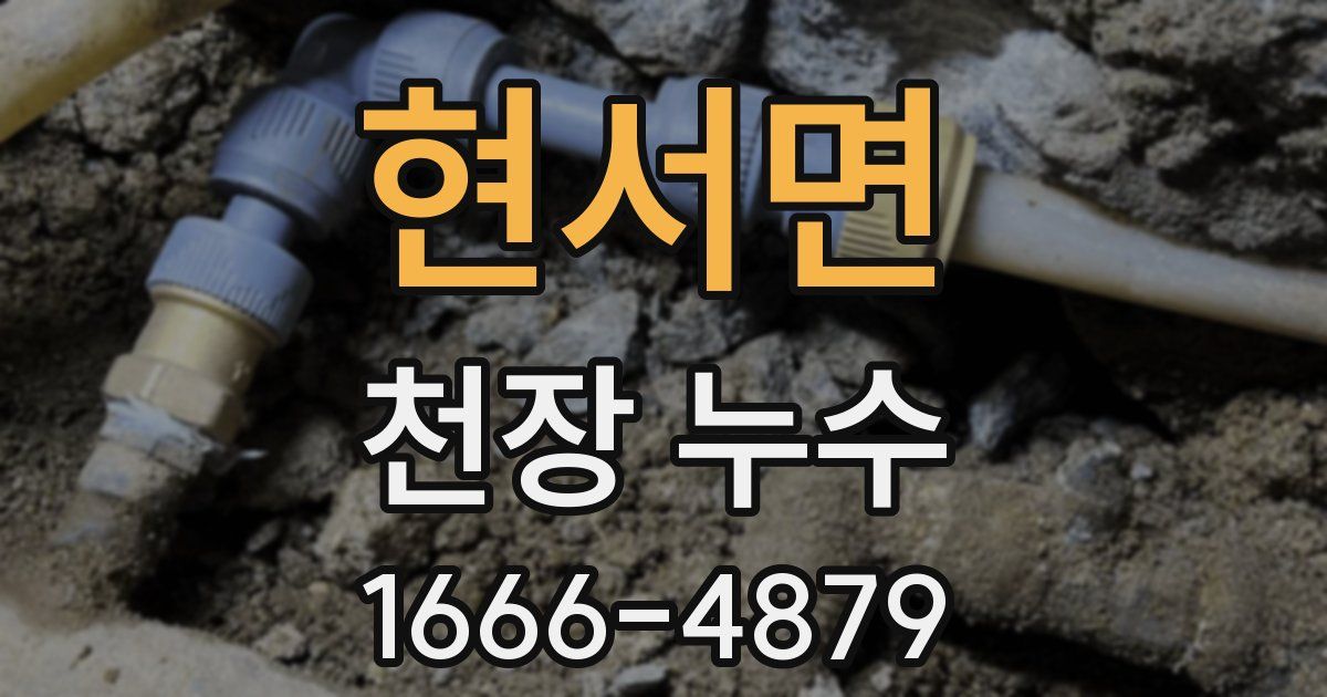 현서면 천장 누수
