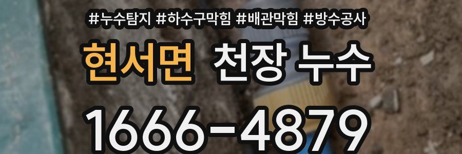 현서면 천장 누수