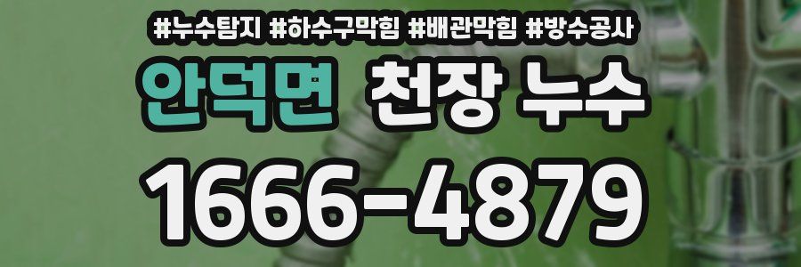 안덕면 천장 누수