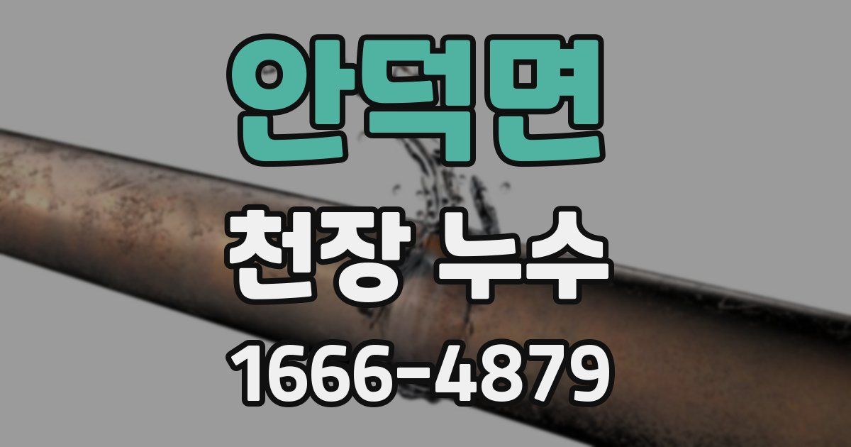 안덕면 천장 누수