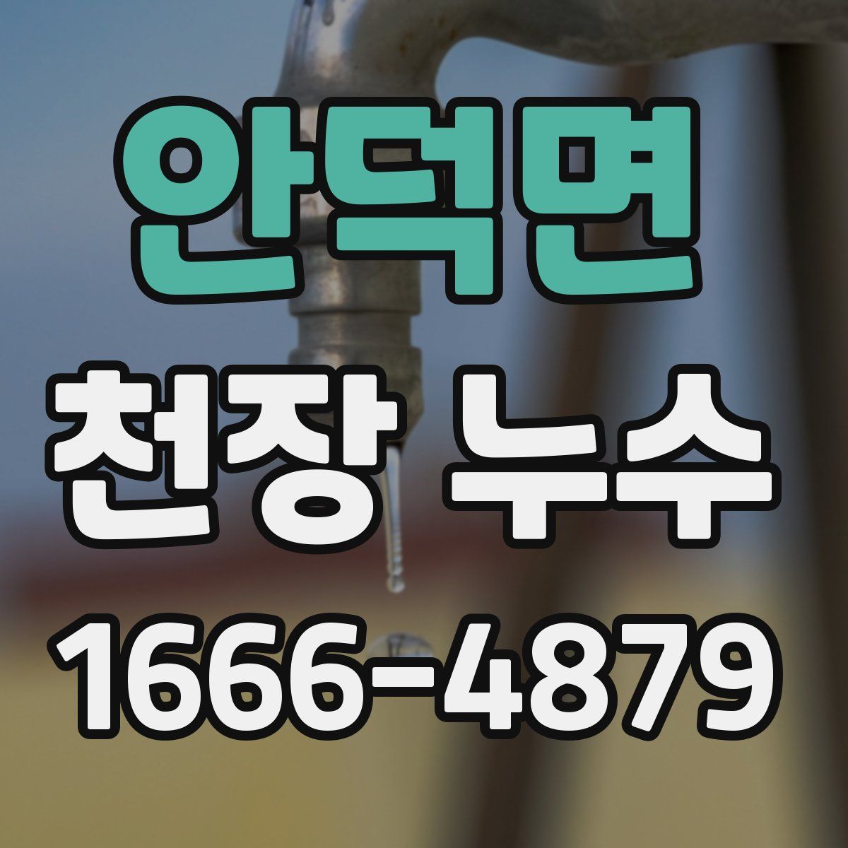 안덕면 천장 누수