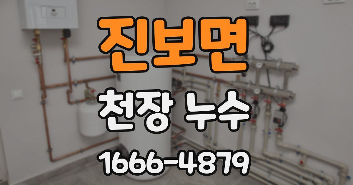 진보면 천장 누수