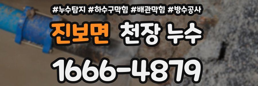진보면 천장 누수