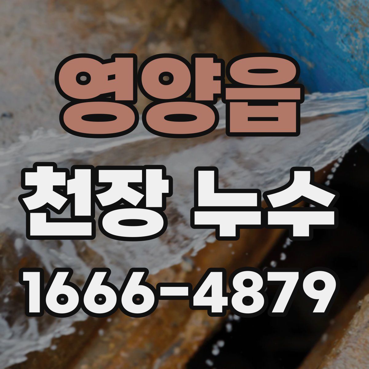 영양읍 천장 누수