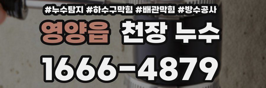 영양읍 천장 누수