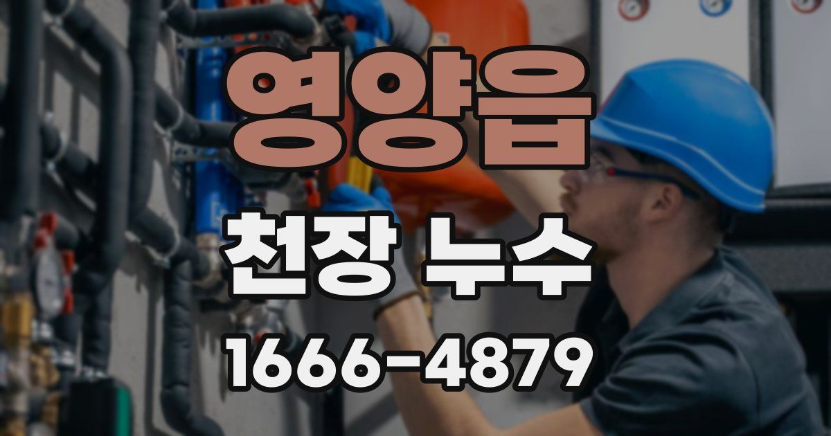 영양읍 천장 누수