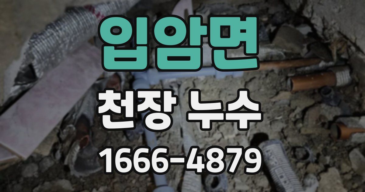 입암면 천장 누수