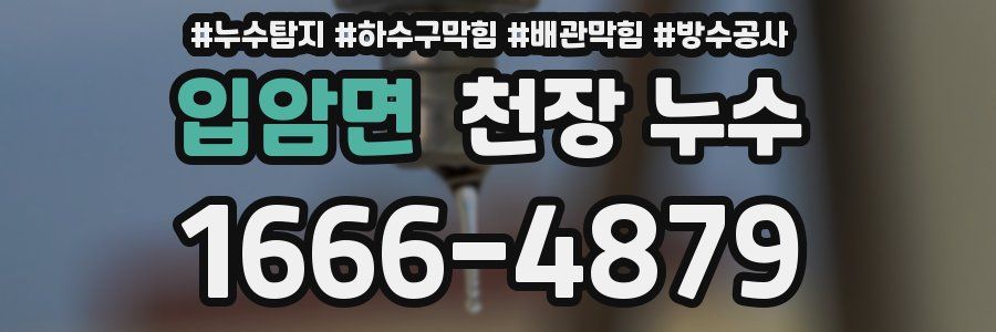 입암면 천장 누수
