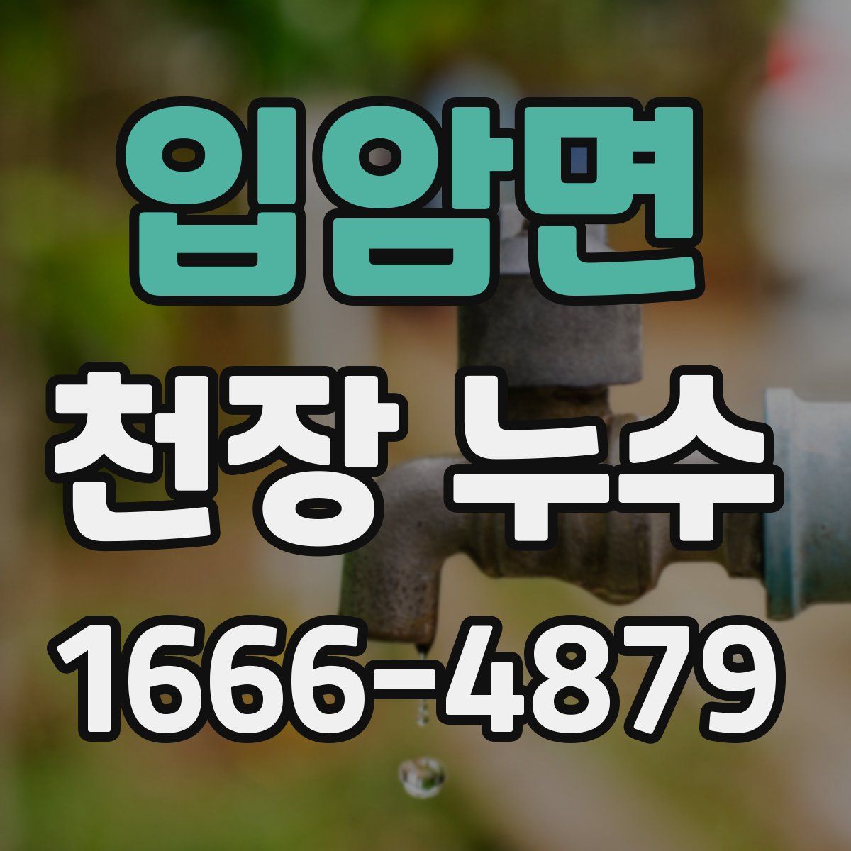 입암면 천장 누수