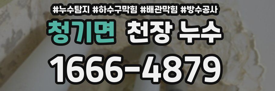 청기면 천장 누수