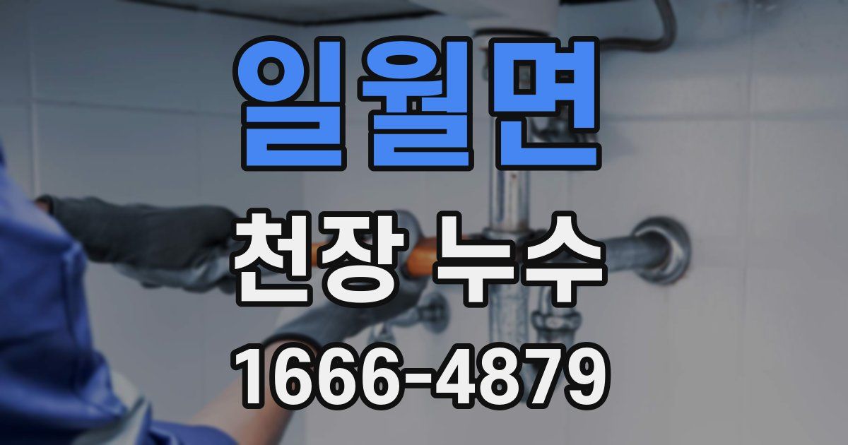 일월면 천장 누수