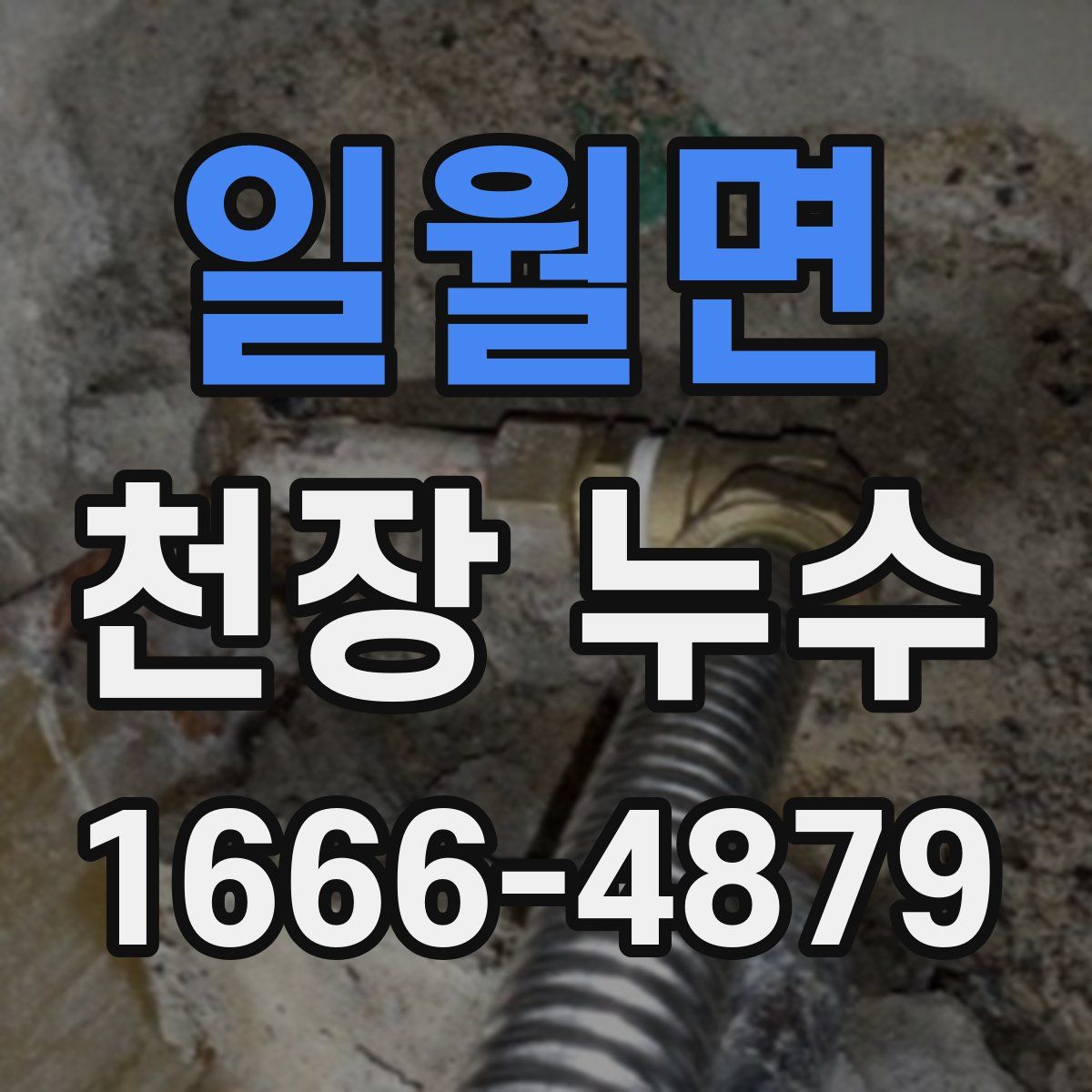 일월면 천장 누수