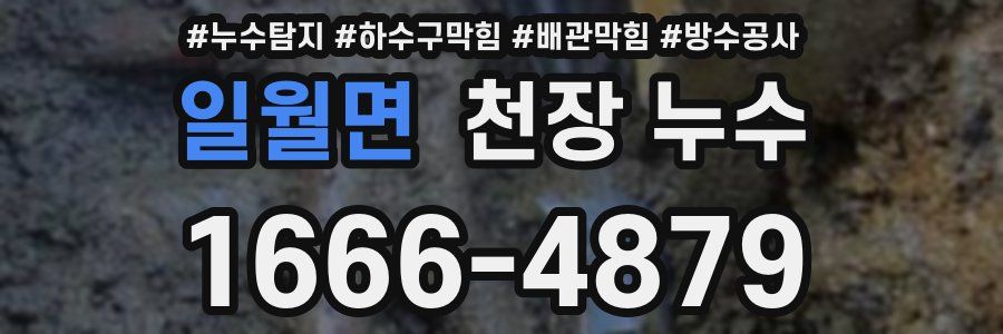 일월면 천장 누수