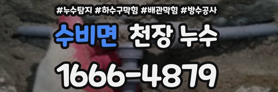 수비면 천장 누수
