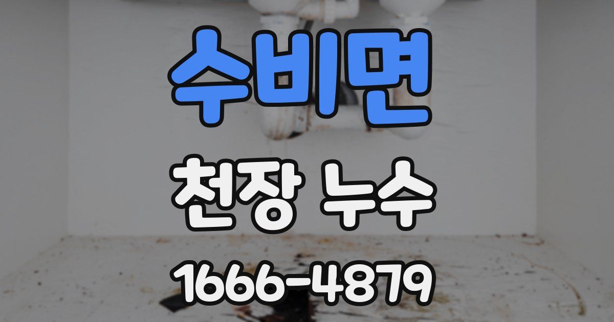수비면 천장 누수