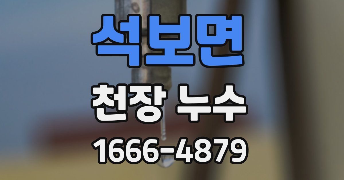 석보면 천장 누수