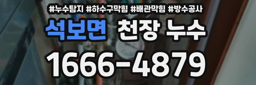 석보면 천장 누수