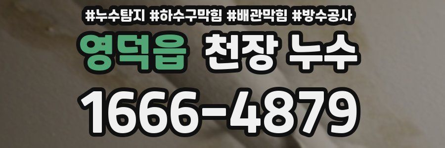 영덕읍 천장 누수