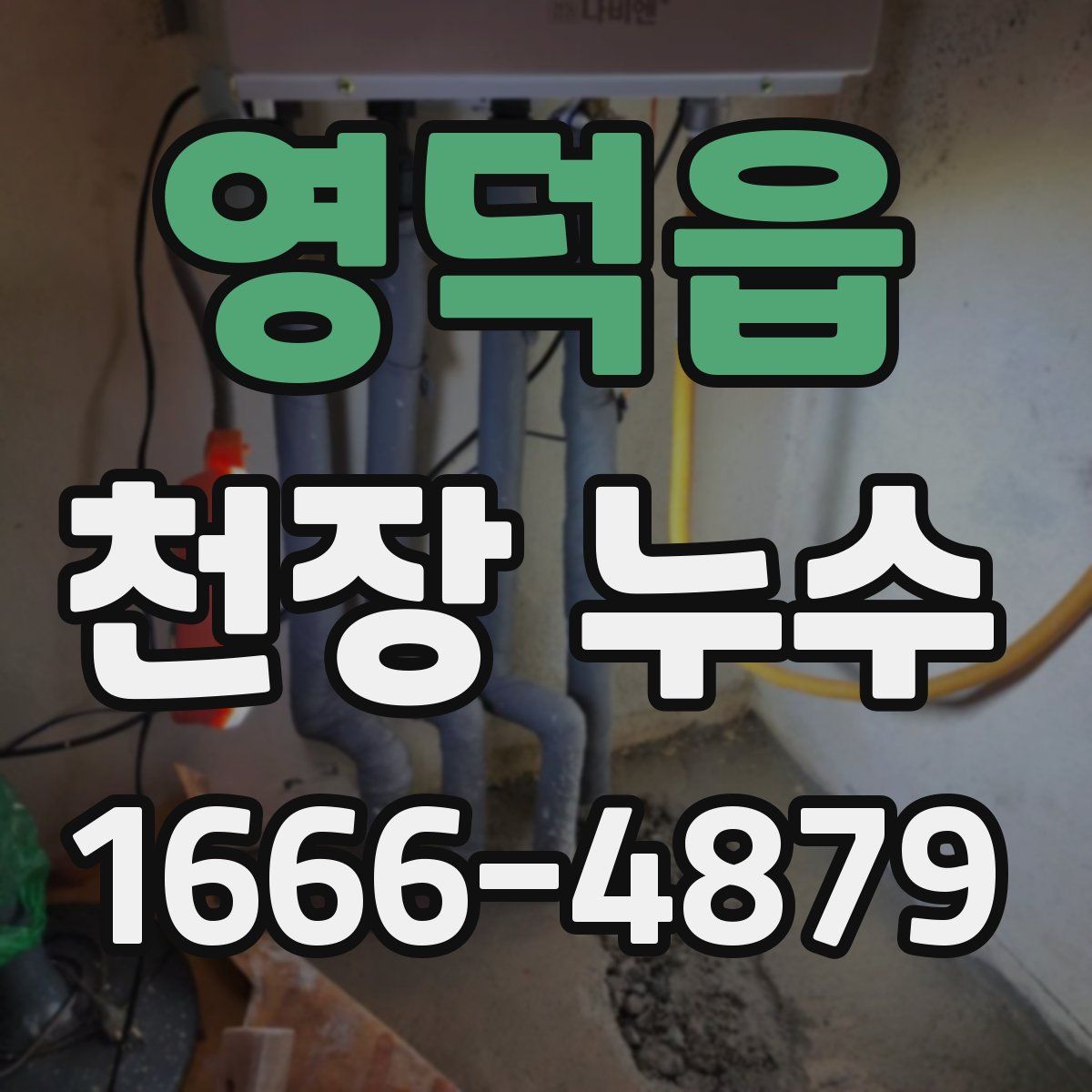 영덕읍 천장 누수