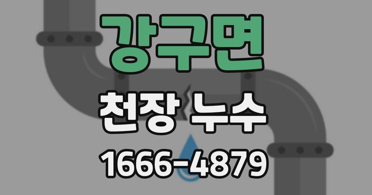 강구면 천장 누수