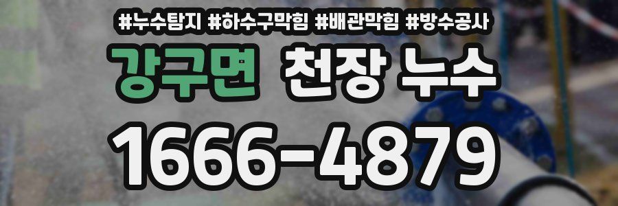 강구면 천장 누수