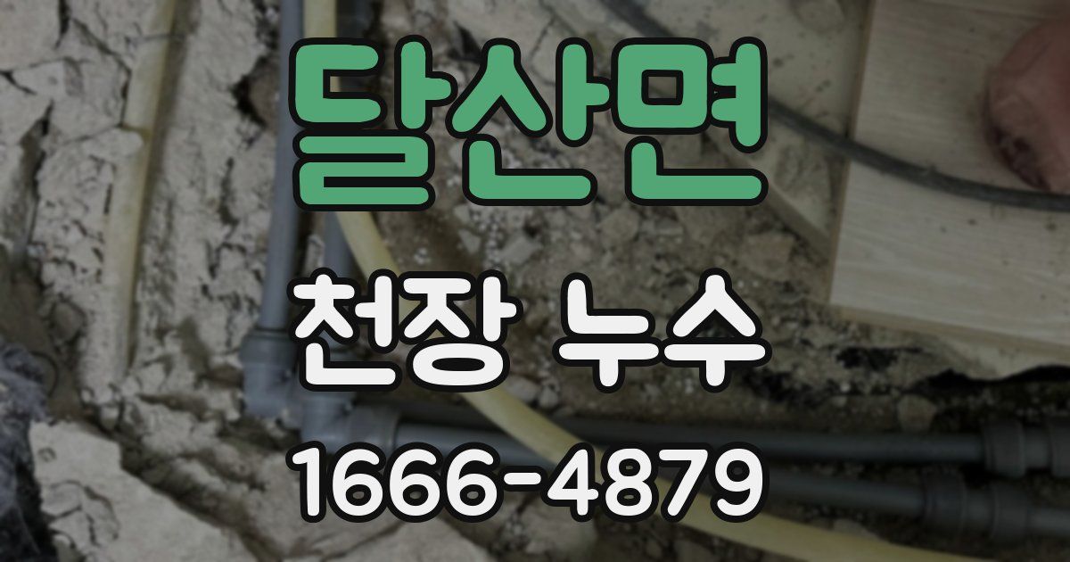 달산면 천장 누수