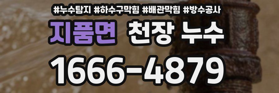지품면 천장 누수
