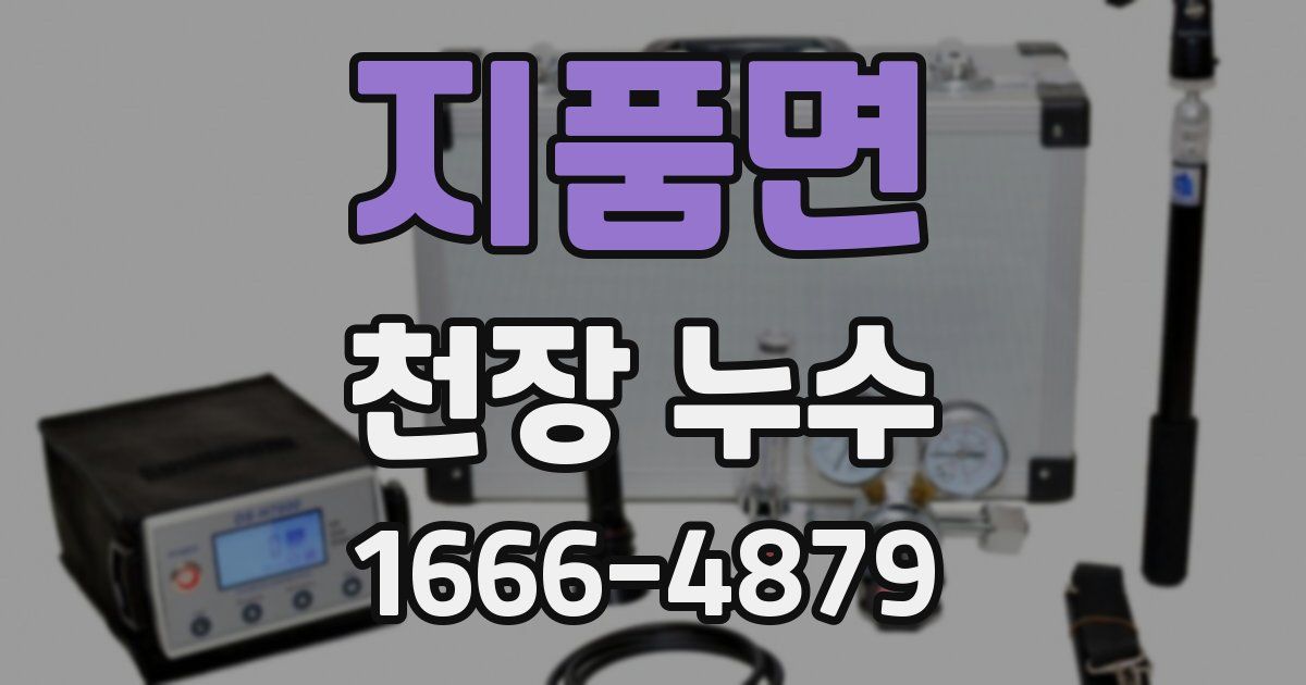 지품면 천장 누수