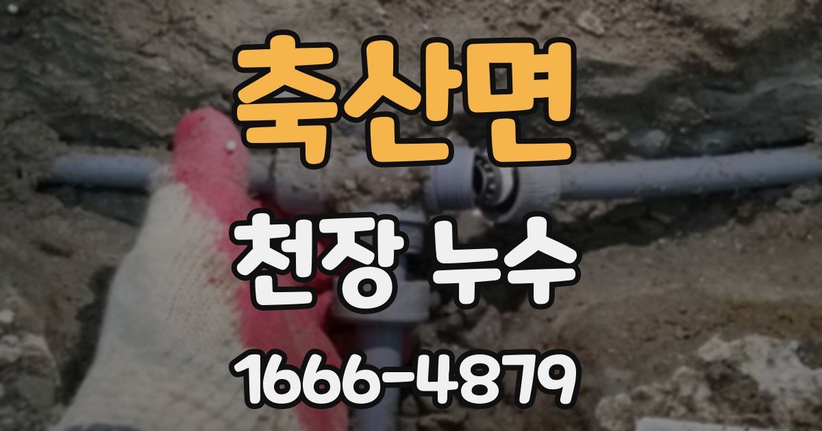 축산면 천장 누수